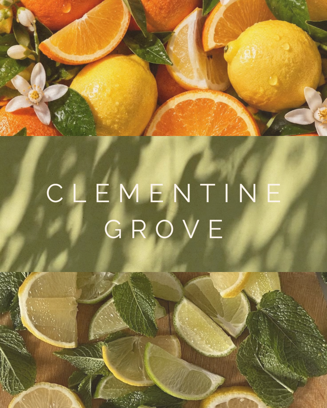 CLEMENTINE GROVE