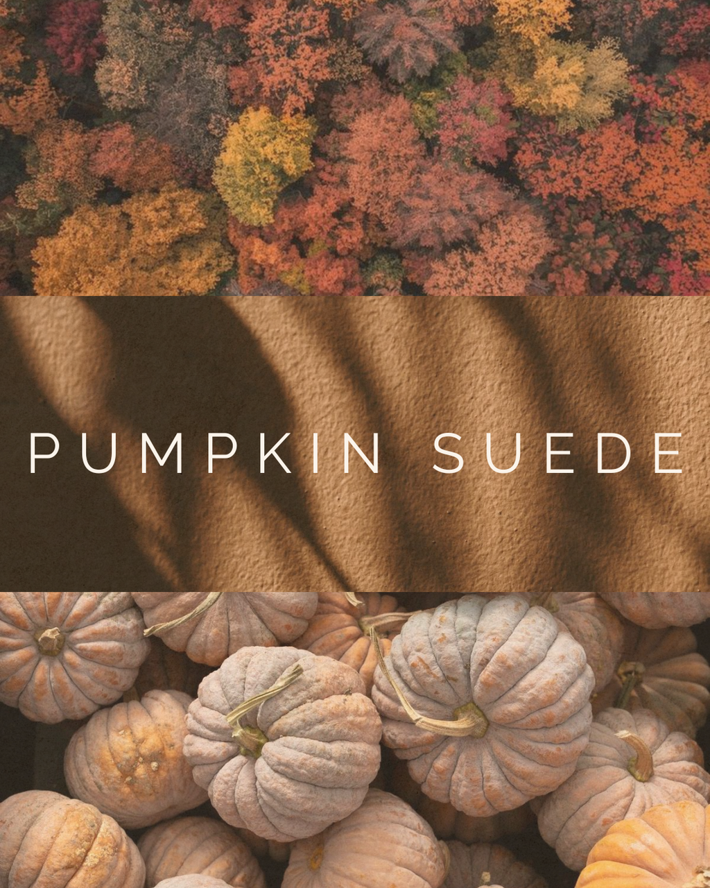 PUMPKIN SUEDE
