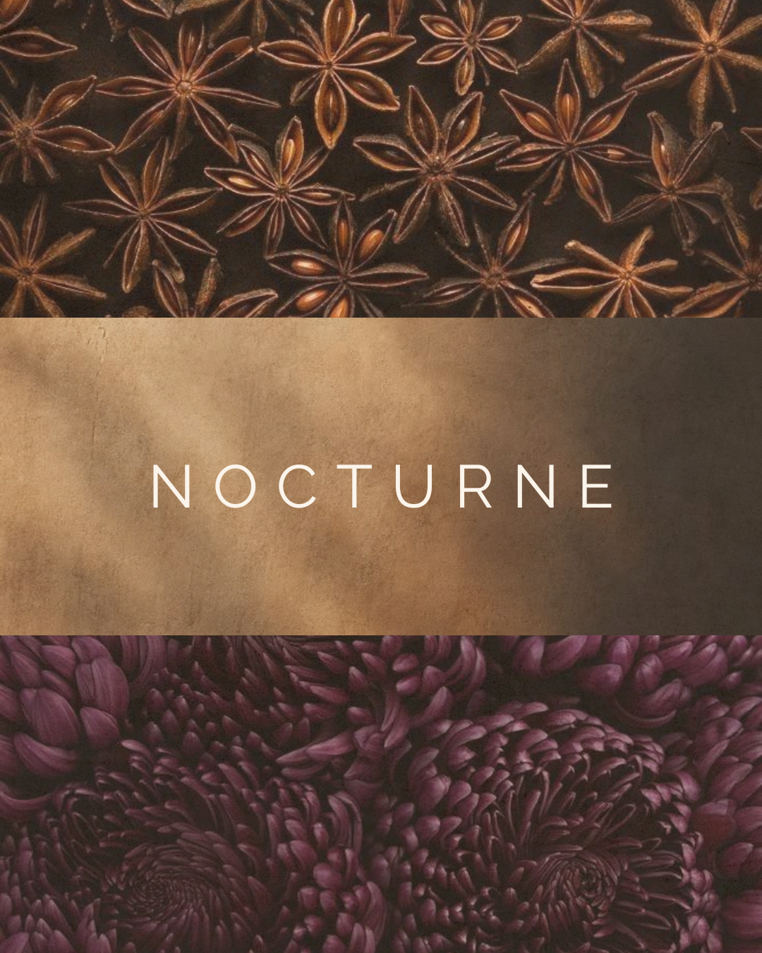 NOCTURNE