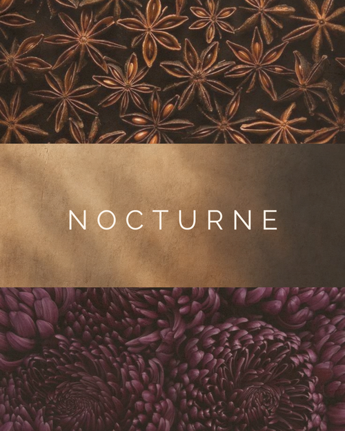 NOCTURNE