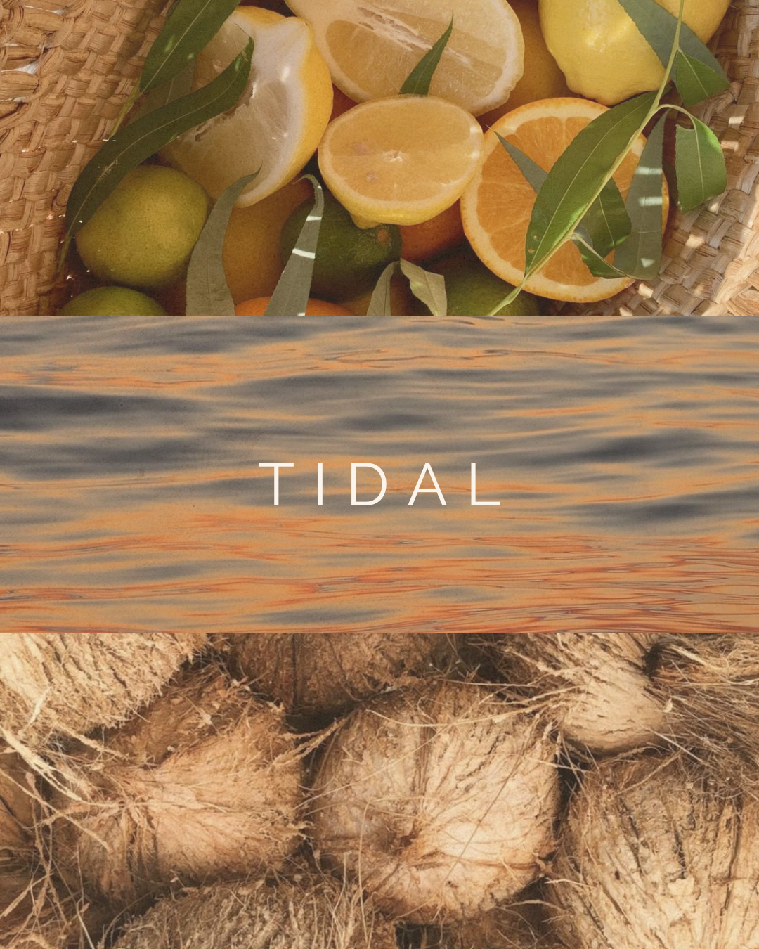 TIDAL